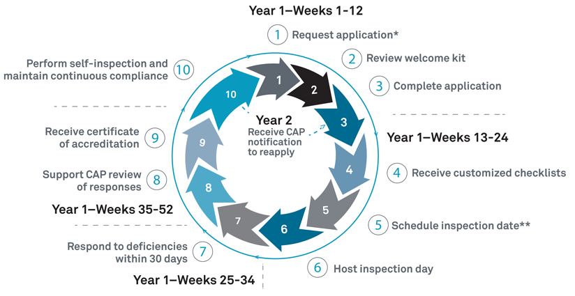 A circular flow diagram outlining the 10 steps of the CAP accreditation process over a two-year cycle. The cycle is divided into four timeframes for Year 1: Weeks 1-12 include requesting the application, reviewing the welcome kit, and completing the application; Weeks 13-24 include receiving customized checklists, scheduling the inspection, and hosting inspection day; Weeks 25-34 involve responding to deficiencies within 30 days; and Weeks 35-52 cover the CAP review of responses and receiving the certificate of accreditation. Step 10 involves performing self-inspections and maintaining continuous compliance. In the center of the circle, an arrow indicates that in Year 2, the laboratory receives a CAP notification to reapply, which points back to the start of the cycle.