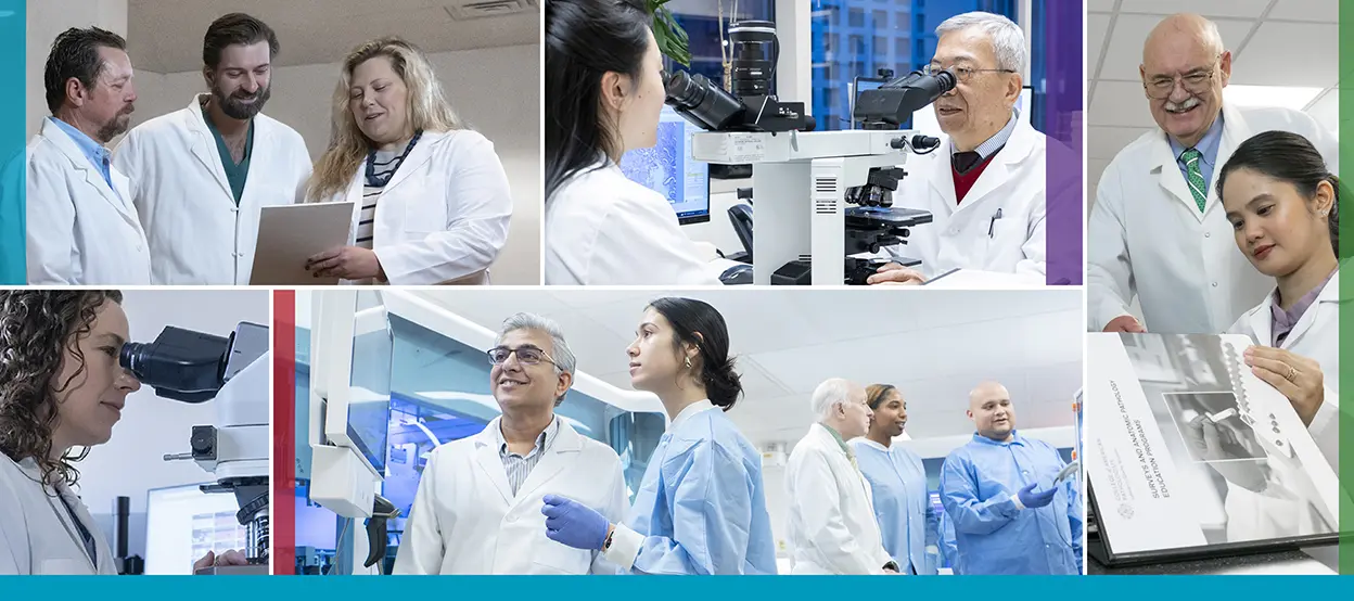 A collage of five photos, each of professionals in white or blue lab coats. Some images feature the individuals reviewing printed documents and others feature individuals looking through microscopes or at a screen in a labratory.