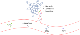 figure2