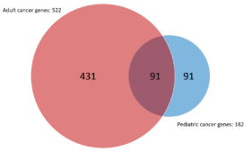 mol onc ped dr olson figure 3