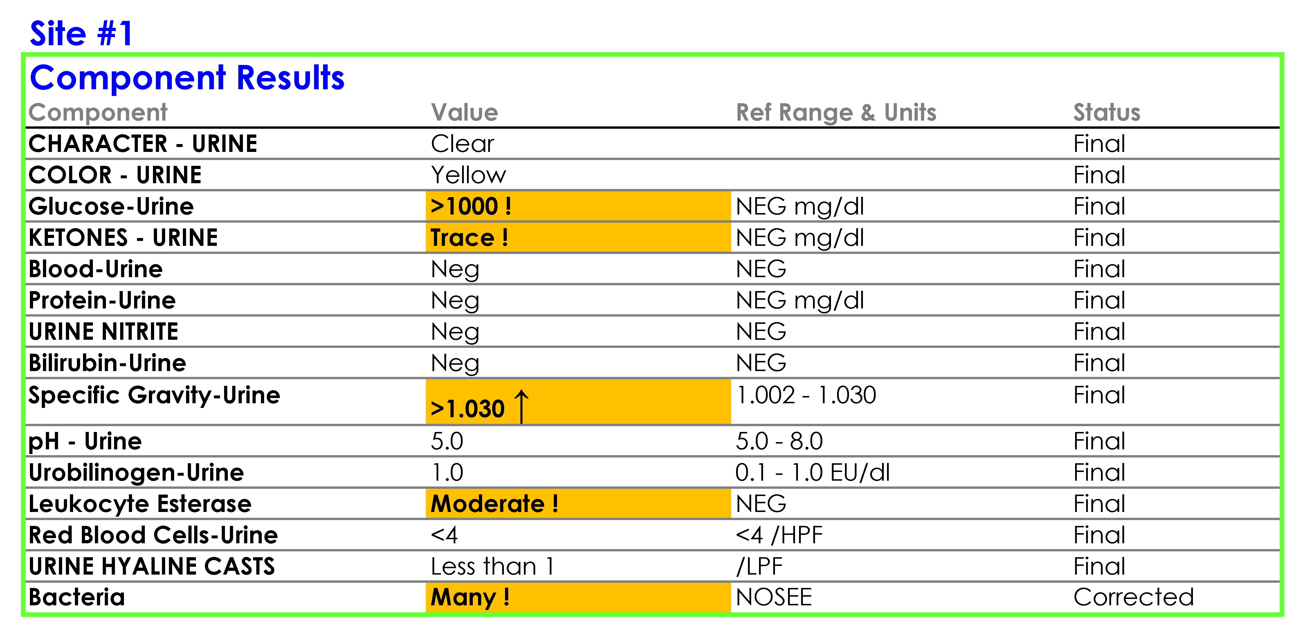 clinical-informatics-dr-stram-pilot-test-case-SP1-EHR1.png#asset:20279