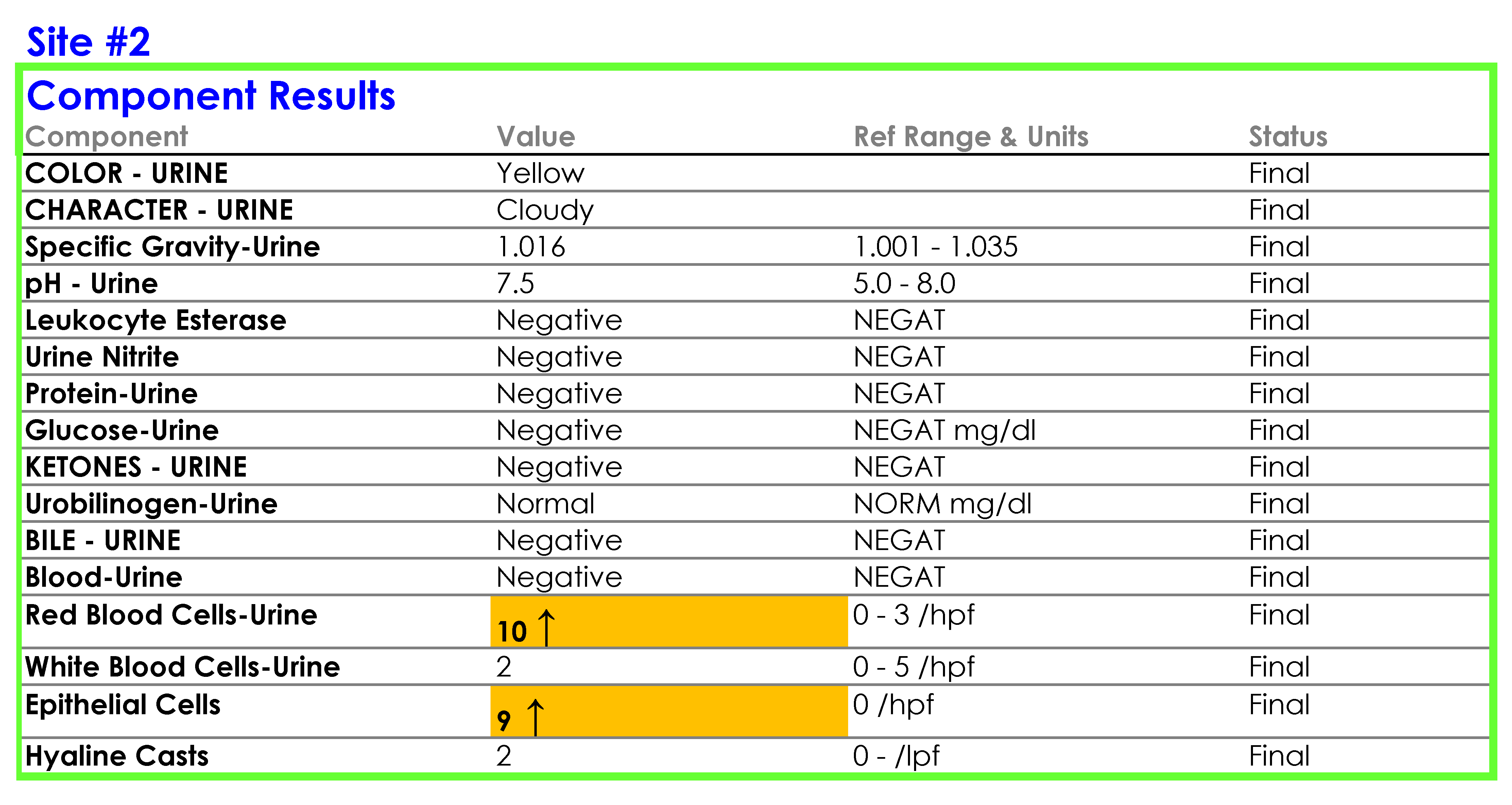 clinical-informatics-dr-stram-pilot-test-case-SP1-EHR2.png#asset:20280